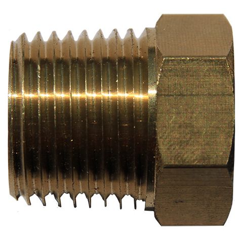 DPO 1/2" NPT Hex Plug