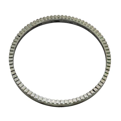 MTE 80 Teeth Pole Ring ONLY
