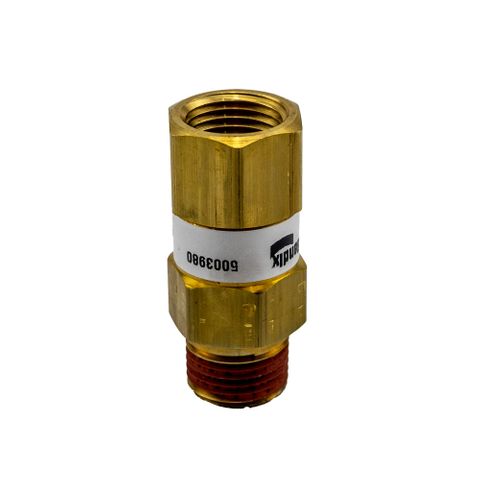 Bendix 1/2NPT Single Check Valve