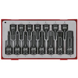 Teng 15pc 3/8 & 1/2 Hex socket set