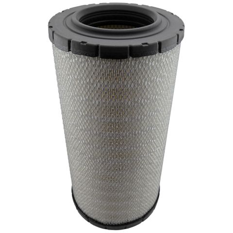 Air Filter AF25748 (P778905)