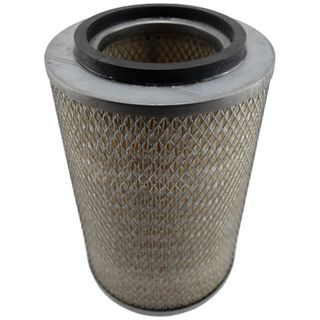 Air Filter AF25231 (P500041)