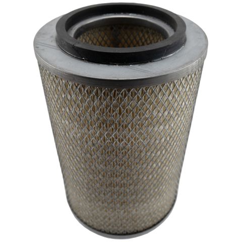 Air Filter AF25231 (P500041)