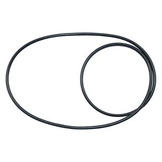 Honda O-Ring To Suit WB20 Housing