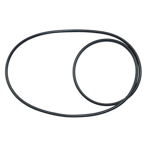 Honda O-Ring To Suit WB20 Housing