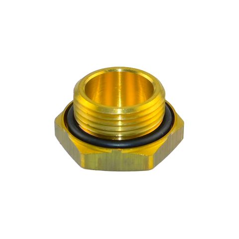 M22 Brass Hex Plug