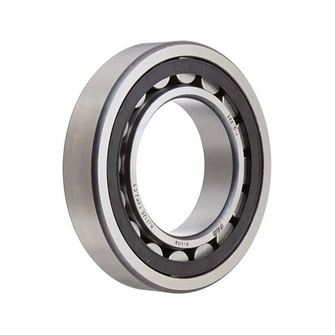 Roller Bearing NU209E