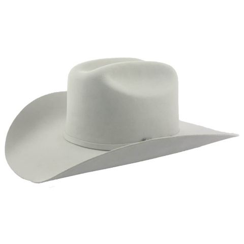 cowboys platinum hat