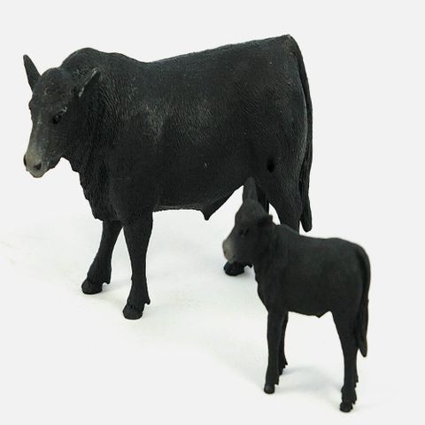 Angus Cow And Calf - 404