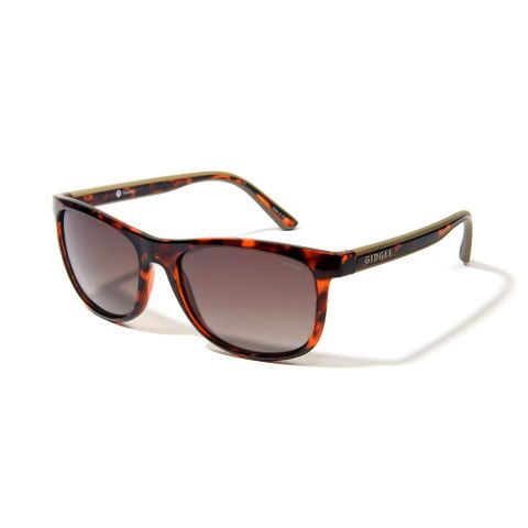 Fender Amber Tort Sunglasses - GE059