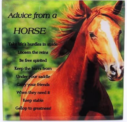 Advice From A Horse Plaque - SLG292