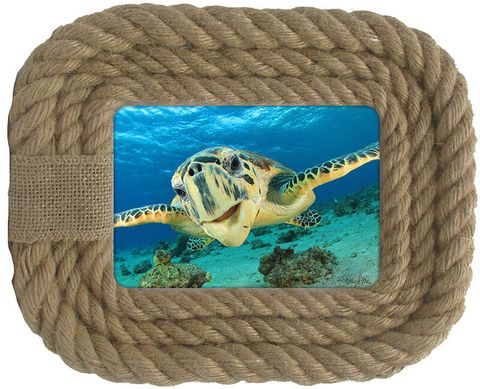 Royal Palms Turtle Photo Frame - KPX-0212