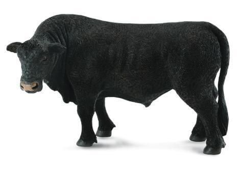 Black Angus Bull - CO88507