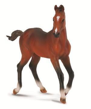 Quarter Horse Foal - CO88586