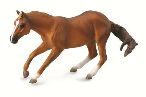 Sorrel Quarter Horse Stallion - CO88585