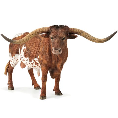 Texas Longhorn Bull - CO88925
