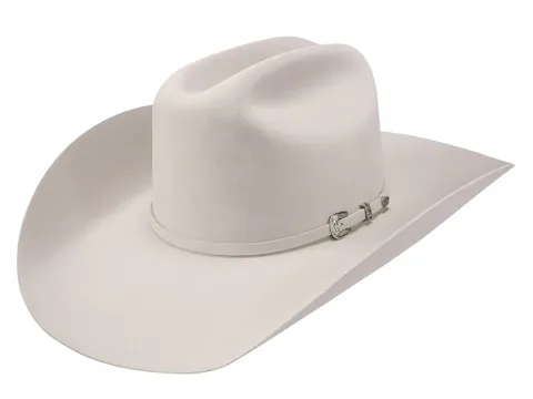 20X Tarrant Fur Felt Cowboy Hat - RFTANT754271