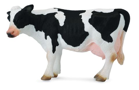 Fresian Cow - CO88481