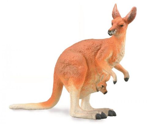 Red Kangaroo with Joey - CO88921
