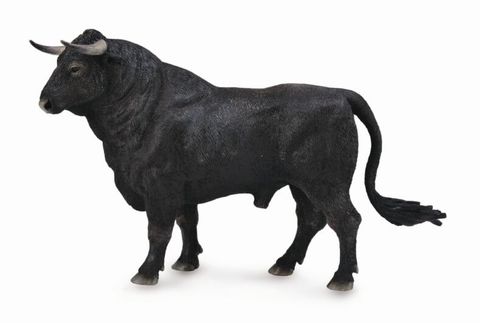 Spanish Fighting Bull - CO88803