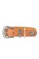 Remy Dog Collar - P3W2997CLR113