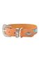 Remy Dog Collar - P3W2997CLR460