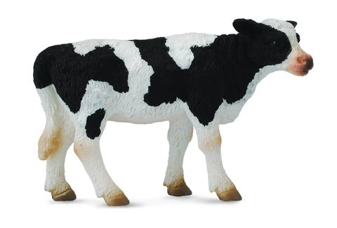 Fresian Calf Standing - CO88483