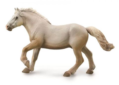 American Cream Draft Stallion - CO88846