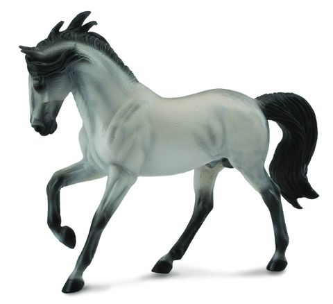 Andalusian Stallion Grey - CO88464