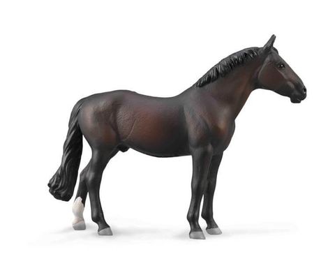 Holsteiner Stallion - CO88987