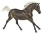Traditional Breeds Sporthorse - TBT430054