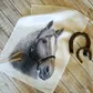 Horse Linen Tea Towel - HORSETEA