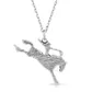 Saddle Bronc Rider Pendant Necklace - NC5658