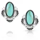 Turquoise Treasure Pot Earrings - ER5520