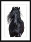 Hayden Horse Artwork - E646022