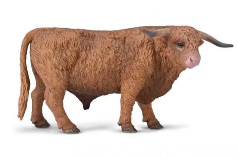 Highland Bull - CO80011