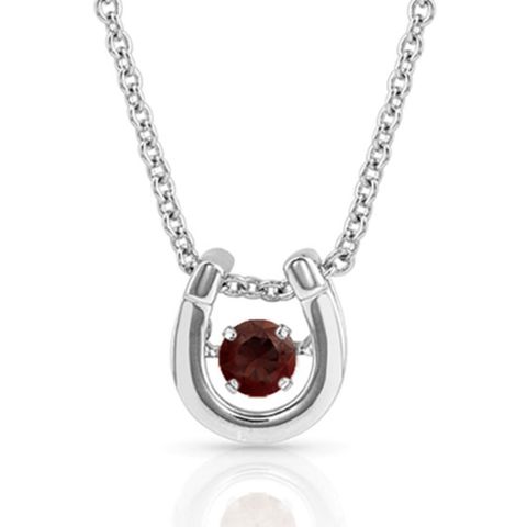 Dancing Birthstone Horseshoe Necklace - NC4742-JAN