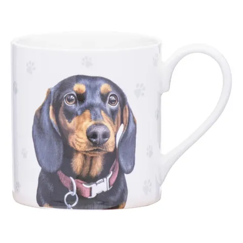 Paws & All Dachshund Mug - 521583