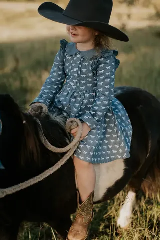Girl's Josephine Horse Print Dress - JOSEPHINED
