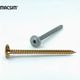 Anchor Screw