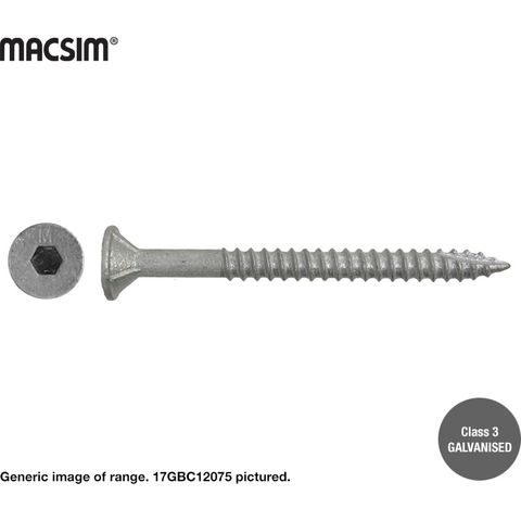 12G X 100MM BATTEN SCREW T17 C3 BUCKET 500