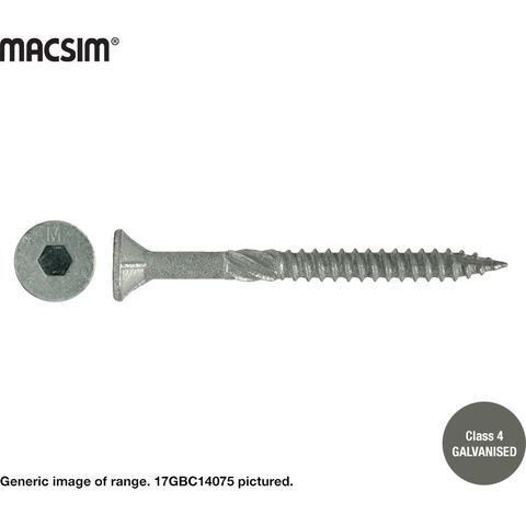 14G X 65MM BATTEN SCREW T17 C4 BUCKET 1000