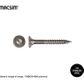 14G X 75MM BATTEN SCREW T17 SS316 BUCKET 500