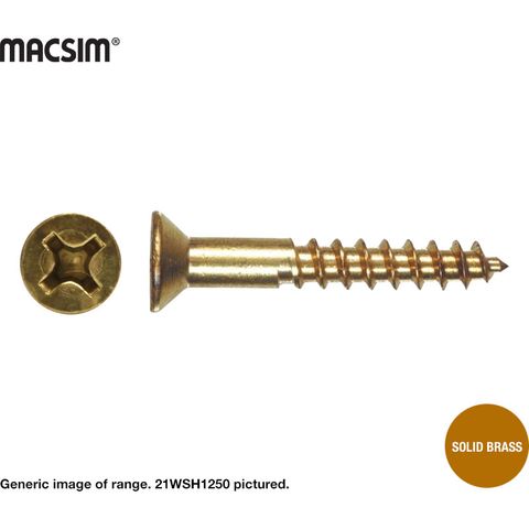 12gx50mm BRASSWOODSCREW BX200