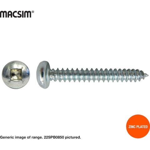 10g x 1 PAN SD SELF TAPPER SCREW