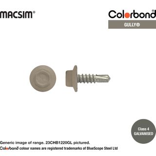 12X20 HWF SDS C4 GULLY