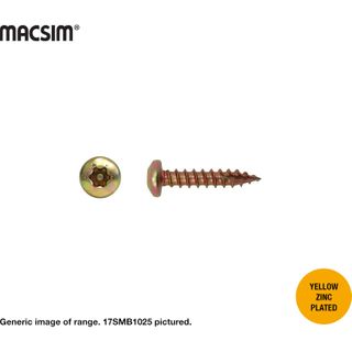 10G X 25MM SECURITY SCREW T17 ZP BOX 1000