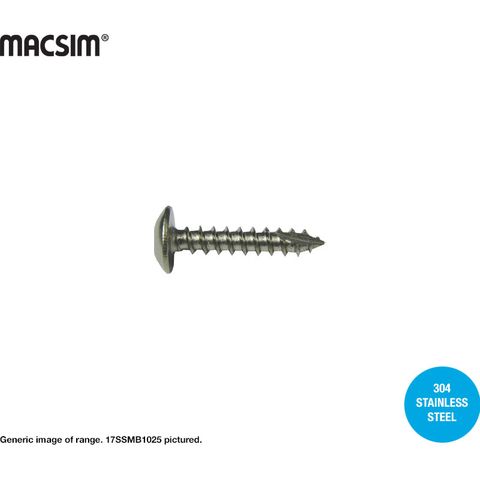 10G X 25MM SECURITY SCREW T17 SS304 BOX 1000