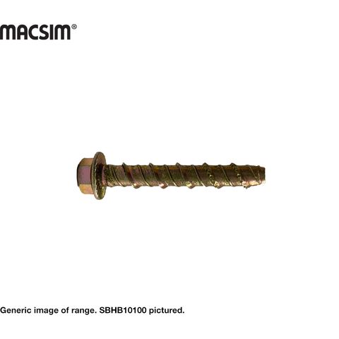 10MMx100MM ZP HEX SCREWBOLT