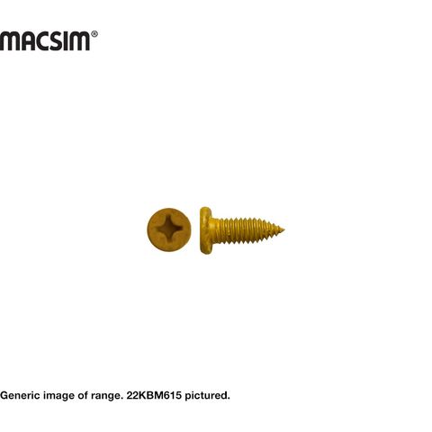 M6 x 15MM PANCAKE STEEL FRAME SCREW YELLOW